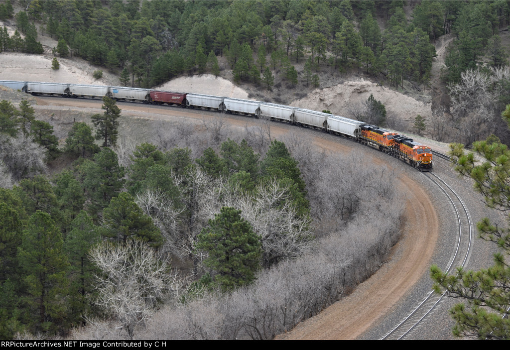 BNSF 3989/7829